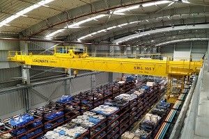 crane manufacturers in India