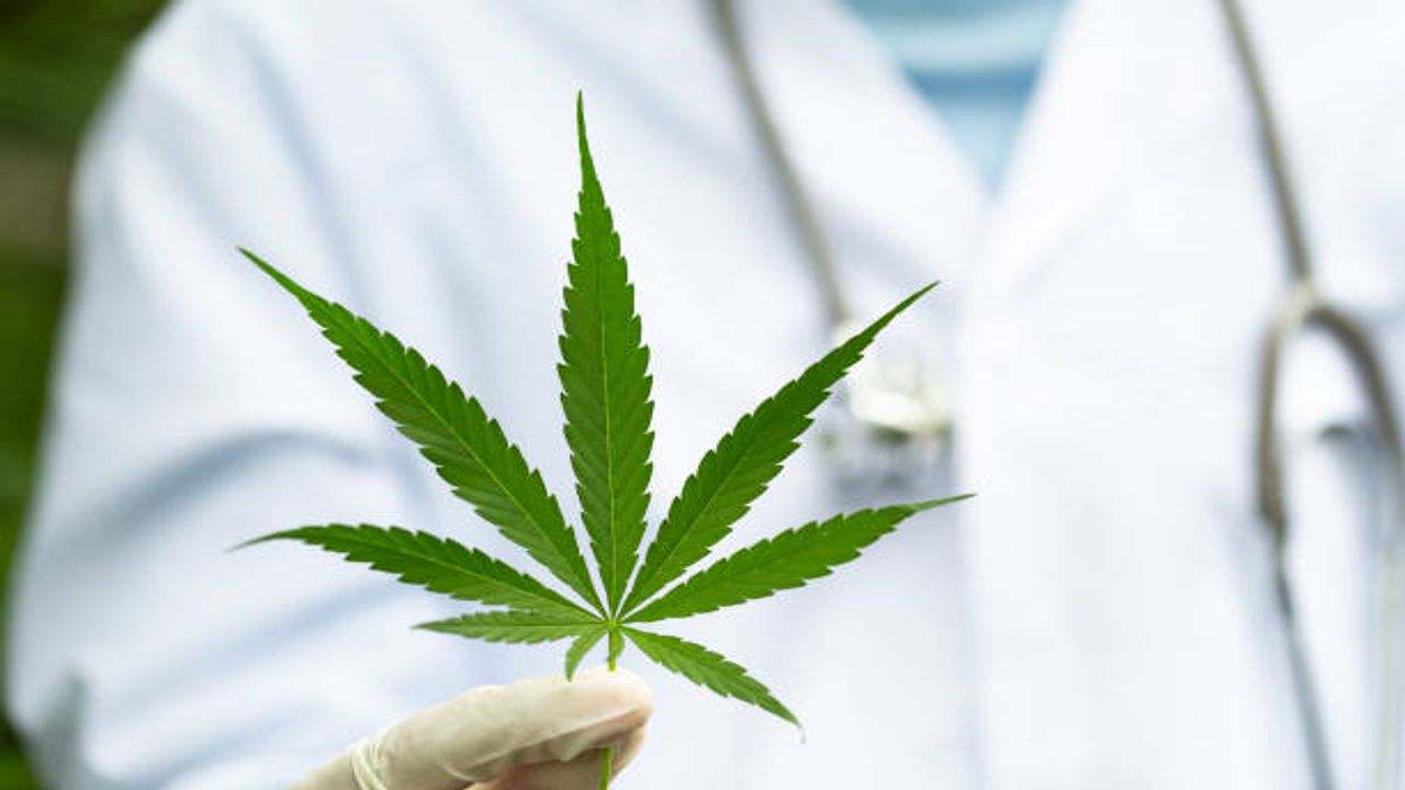 Medical Marijuana What Is It And What to Expect