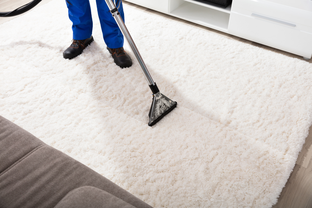 Spotless Carpet Cleaning Has Never Been Easier