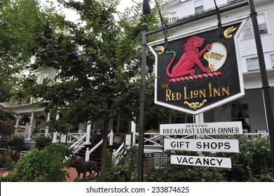 The Info of wildlife red lion